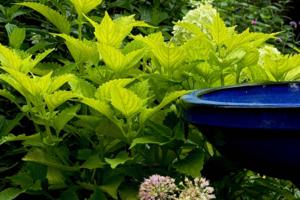 Norman Winter/Norman Winter/TNS