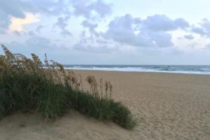 Dreamstime/Dreamstime/TNS