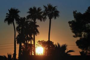 Sam Morris/Las Vegas Review-Journal/TNS