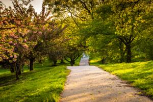 Jon Bilous/Dreamstime.com/TNS