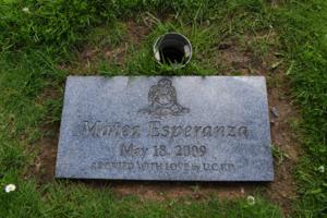 JOSE CARLOS FAJARDO/Bay Area News Group/TNS