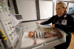 Chitose Suzuki/The Dallas Morning News/TNS