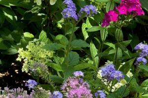 Norman Winter/Norman Winter/TNS