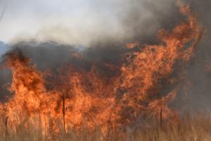 Helen H. Richardson/The Denver Post/TNS