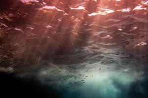 Martin Bertrand/Hans Lucas/AFP/Getty Images North America/TNS