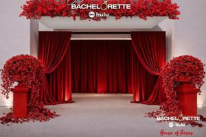 The Bachelorette/The Bachelorette/TNS