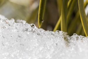 Xavier Mascareñas/California Department of Water Resources/TNS/TNS