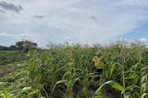 CHRISTOPHER VONDRACEK/Minnesota Star Tribune/TNS