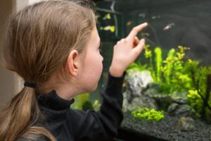 Dm Stock Production/Dreamstime/TNS