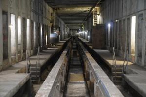 Barry Williams/New York Daily News/TNS