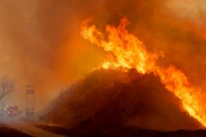 Wally Skalij/Los Angeles Times/TNS