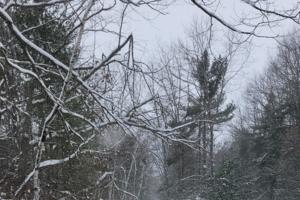 Phillip Fry, The Detroit News/The Detroit News/TNS