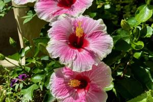 Norman Winter/Norman Winter/TNS