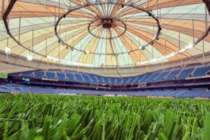 Dirk Shadd/Tampa Bay Times/TNS