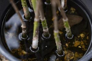 Photo by Matias J. Ocner/Miami Herald/TNS