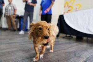 Kristian Carreon/The San Diego Union-Tribune/TNS