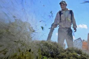 Charles Mostoller/Miami Herald/TNS