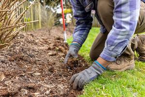 It’s time to start planting, pruning and prepping. (Greggory DiSalvo/Getty Images/TCA)