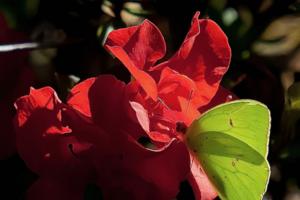 Norman Winter/Norman Winter/TNS