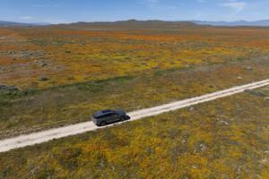 Kayla Bartkowski/Los Angeles Times/TNS