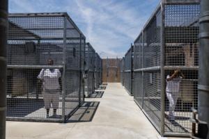 Gina Ferazzi/Los Angeles Times/TNS