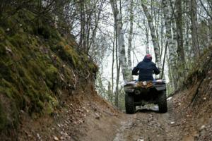 Brian Peterson/The Minnesota Star Tribune/TNS