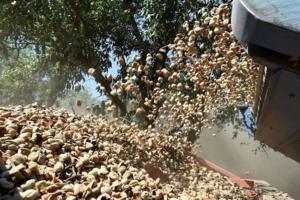 John Walker/Fresno Bee file/Fresno Bee/TNS