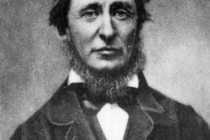 Hulton Archive/Getty Images North America/TNS