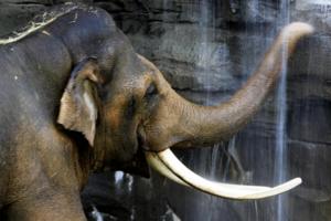 Mark Boster/Los Angeles Times/TNS