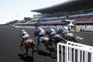 Karl Mondon/Bay Area News Group/TNS