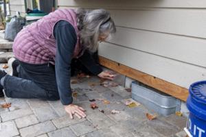 Sarah A. Miller/Idaho Statesman/TNS