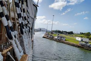 Kathy Witt/Kathy Witt/TNS