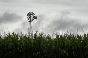 Scott Olson/Getty Images North America/TNS