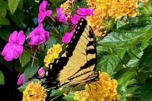 Norman Winter/Norman Winter/TNS