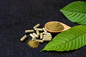Kratom powder is produced by the plant Mitragyna speciosa. iStock via Getty Images Plus