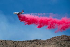 David Crane/Los Angeles Daily News/TNS