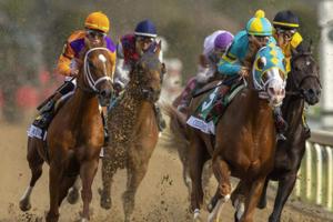 Ryan C. Hermens/Lexington Herald-Leader/TNS