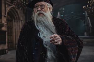 Bang Showbiz / John Lithgow as Albus Dumbledore in Harry Potter