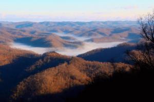 Austin R. Ramsey/Lexington Herald-Leader/TNS