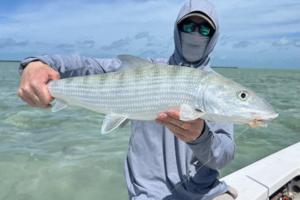 Dennis Anderson/Minnesota Star Tribune/TNS