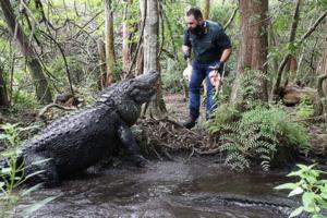 Ricardo Ramirez Buxeda/Orlando Sentinel/TNS