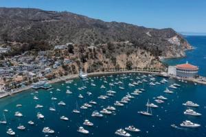 Los Angeles Times/Los Angeles Times/TNS