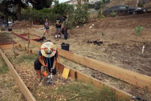 Dania Maxwell/Los Angeles Times/TNS