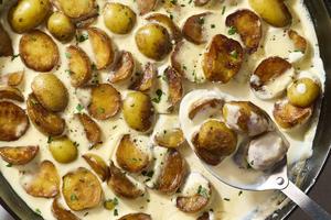 Enjoy tender, golden baby potatoes in a flavorful cream sauce with garlic and Parmesan. (Alex Lepe/TCA)