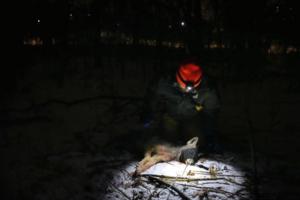 Anthony Soufflé/Minnesota Star Tribune/TNS