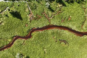 Increased carbon in runoff from land is turning freshwaters darker. Andrew P. Hendry via Flickr