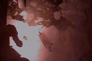 U.S. Coast Guard/U.S. Coast Guard/TNS