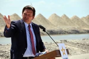 Joe Cavaretta/South Florida Sun Sentinel/TNS