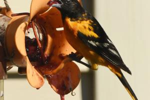 Mark Hertzberg/ZUMA Press Wire/TNS