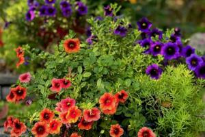 Norman Winter/Norman Winter/TNS